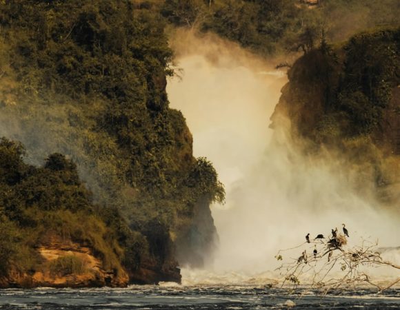 3 Days Murchison Falls Safari Tour