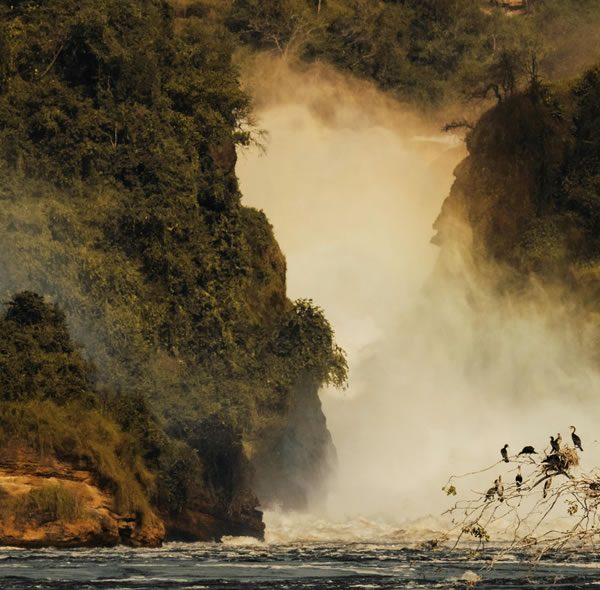 3 Days Murchison Falls Safari Tour