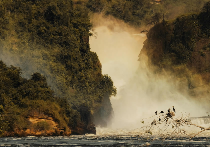 3 Days Murchison Falls Safari Tour